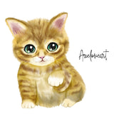 5654 Yellow Kitten