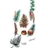 5659 Winter Pinecones