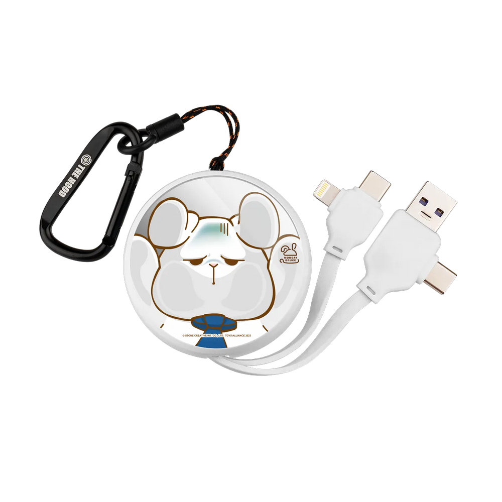 5680-multi-fast-charging-cable-white
