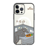 5682-iphone-13-pro-max-golden-case-magsafe-compatible-transparent-black