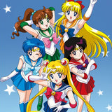 5703 Sailor Moon Family