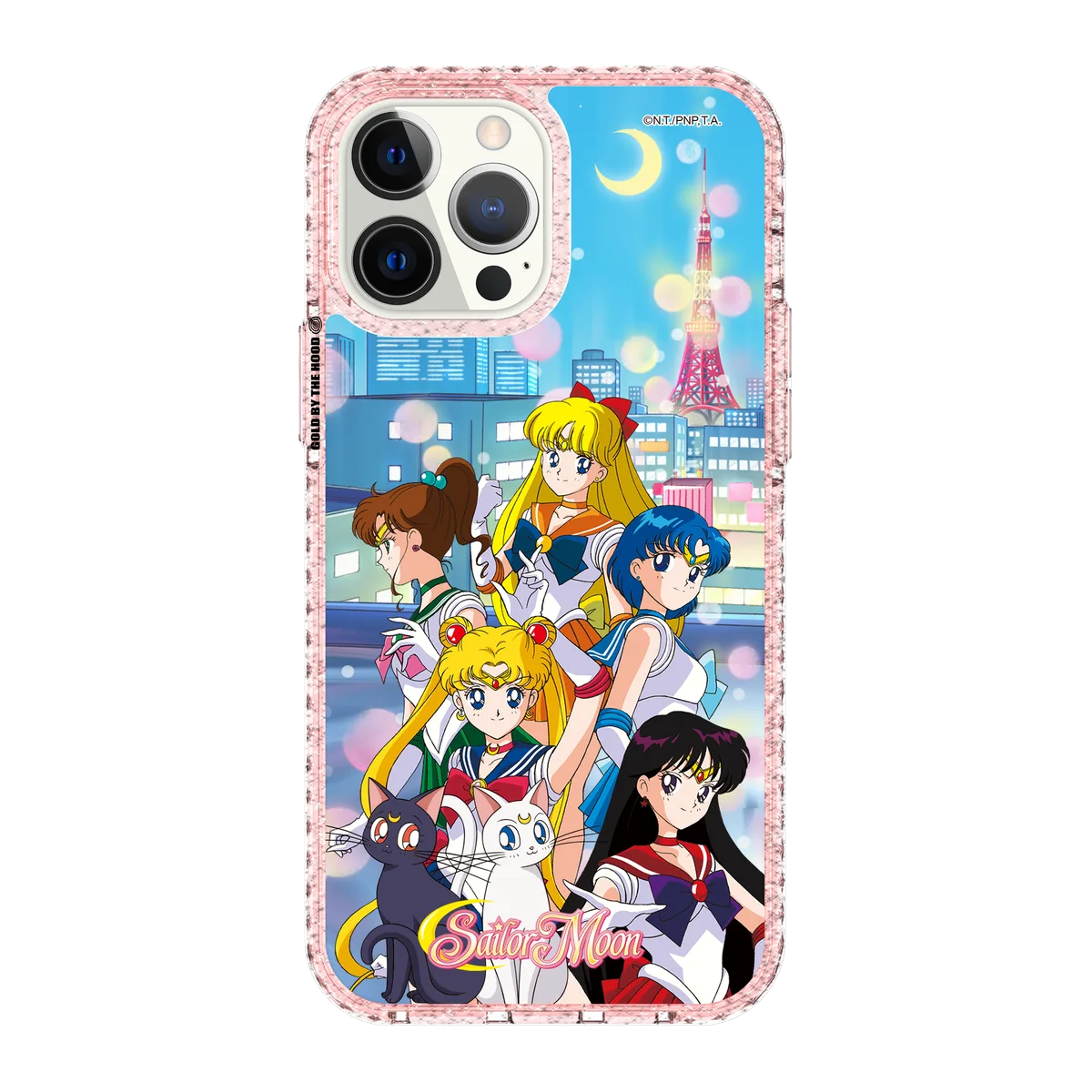 5704 Sailor Moon Family - iPhone 13 Pro Max Case – THE HOOD