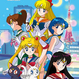 5704 Sailor Moon Family