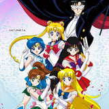 5705 Sailor Moon Family