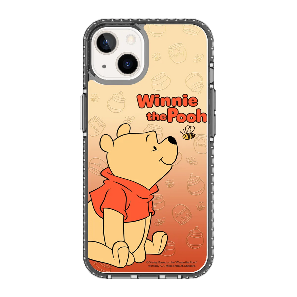 5743-iphone-13-golden-case-magsafe-compatible-transparent-black