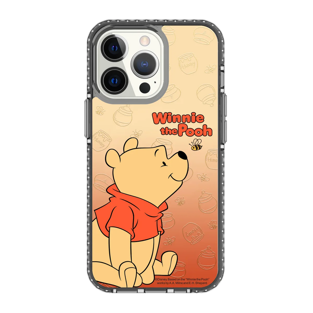 5743-iphone-13-pro-golden-case-magsafe-compatible-transparent-black