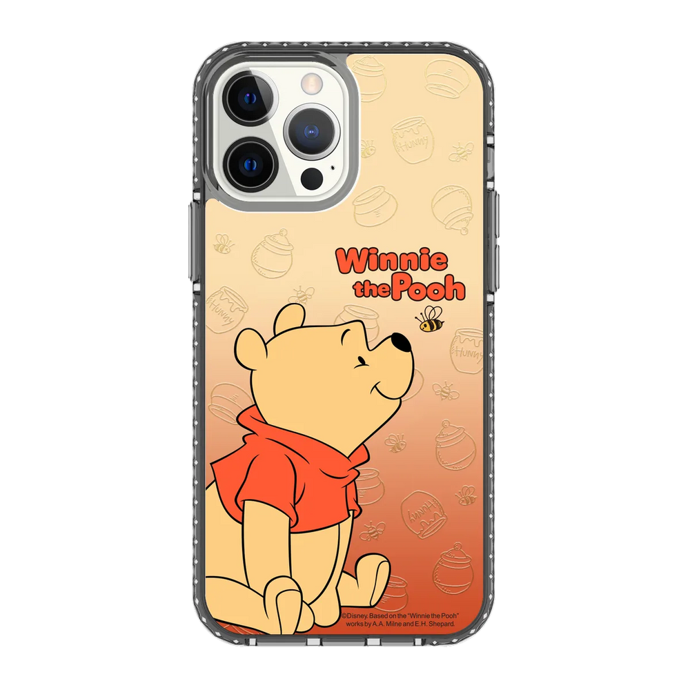 5743-iphone-13-pro-max-golden-case-magsafe-compatible-transparent-black