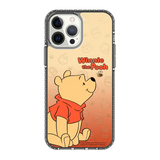 5743-iphone-13-pro-max-golden-case-magsafe-compatible-transparent-black