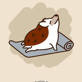 5763 Yoga Hedgehog