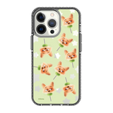 5842-iphone-13-pro-golden-case-magsafe-compatible-transparent-black