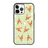 5842-iphone-13-pro-max-golden-case-magsafe-compatible-transparent-black