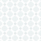 5867 Begonia Glass Pattern No.13
