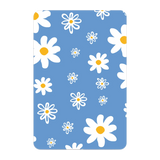 5959-ps501-ccc-pb-silver-2
