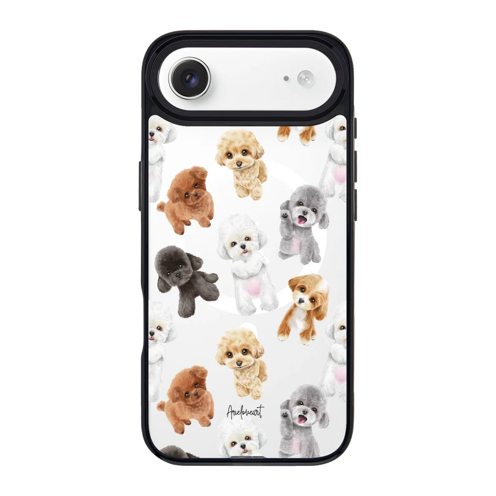 6022-iphone-17-air-goldensnap-case-magsafe-compatible-transparent-black