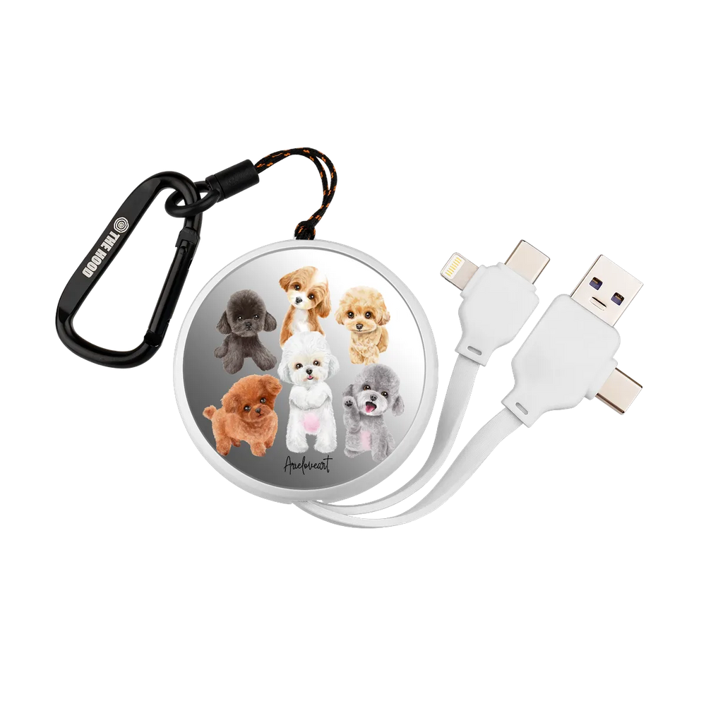 6022-multi-fast-charging-cable-white