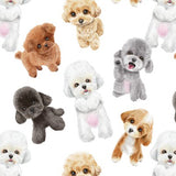 6022 Poodles Family