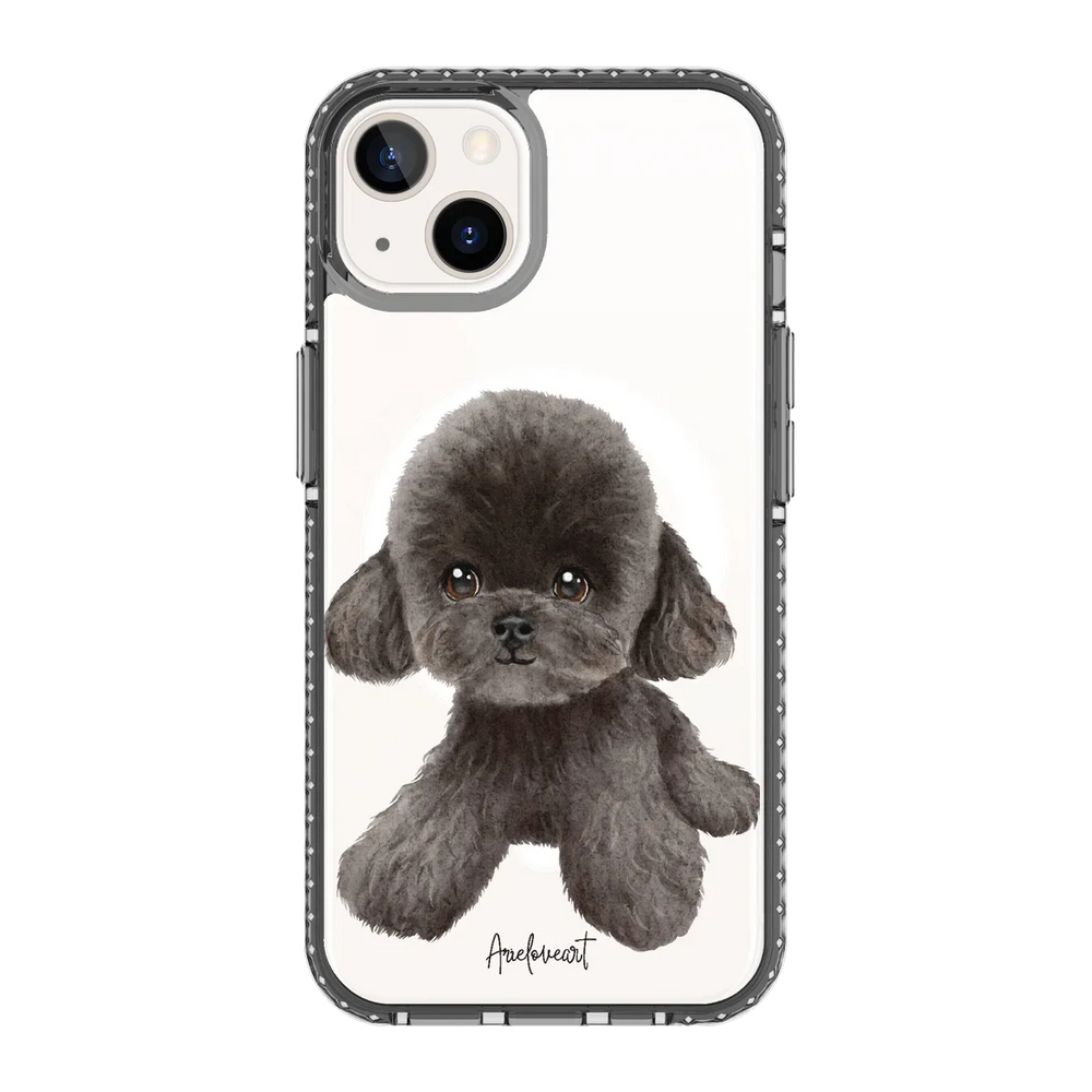 6038-iphone-13-golden-case-magsafe-compatible-transparent-black