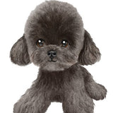 6038 Poodle Black