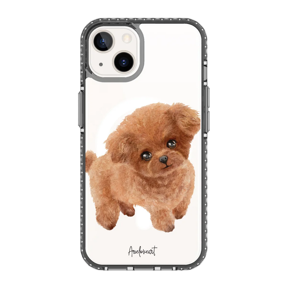 6039-iphone-13-golden-case-magsafe-compatible-transparent-black
