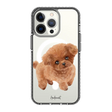 6039-iphone-13-pro-golden-case-magsafe-compatible-transparent-black