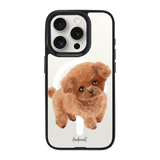 6039-iphone-15-pro-goldensnap-case-magsafe-compatible-transparent-black