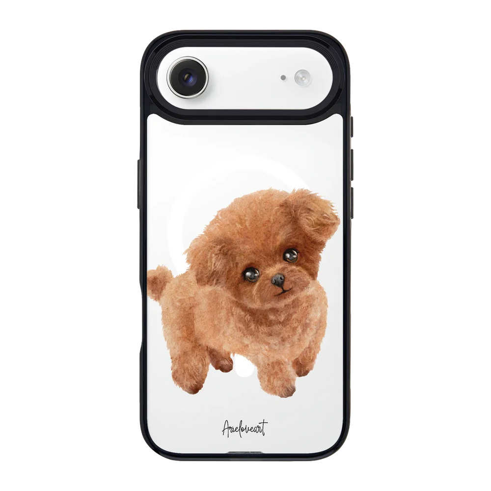 6039-iphone-17-air-goldensnap-case-magsafe-compatible-transparent-black