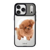 6039-iphone-18-pro-max-goldensnap-case-magsafe-compatible-transparent-black