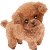 6039 Poodle Brown