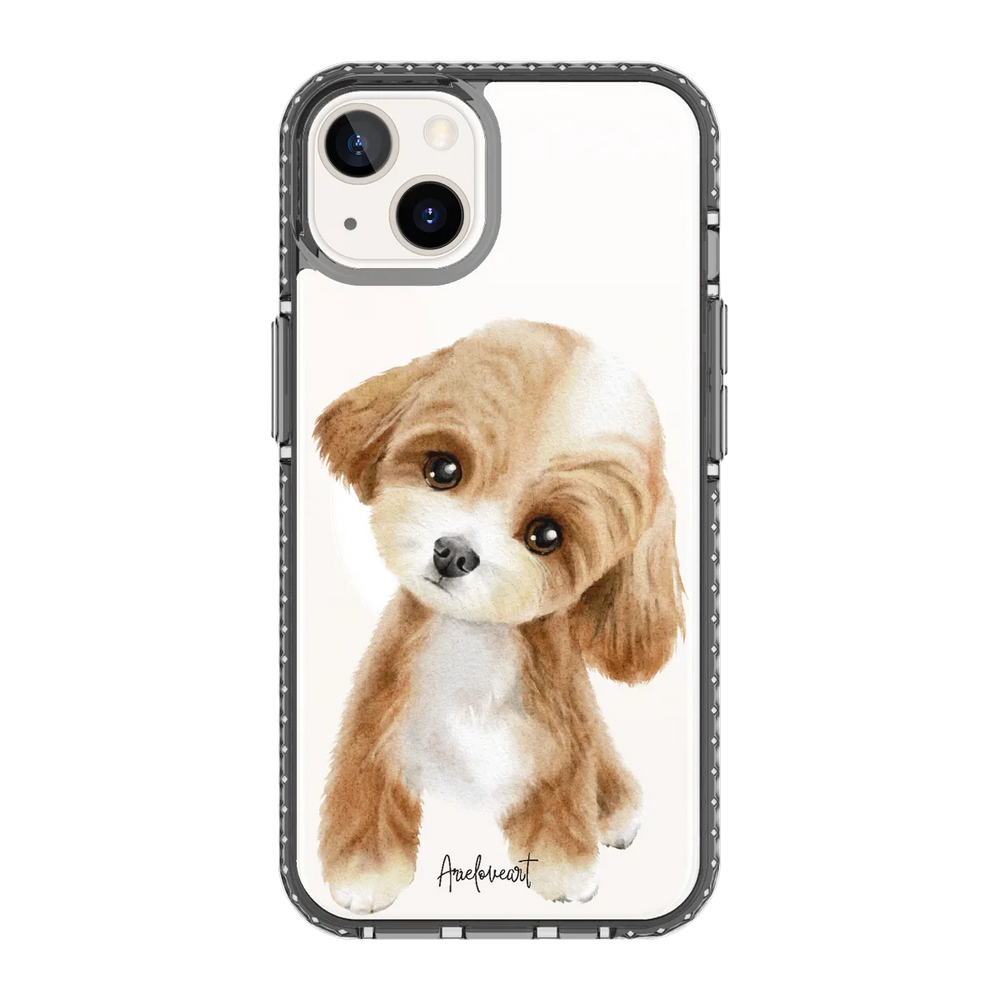 6040-iphone-13-golden-case-magsafe-compatible-transparent-black