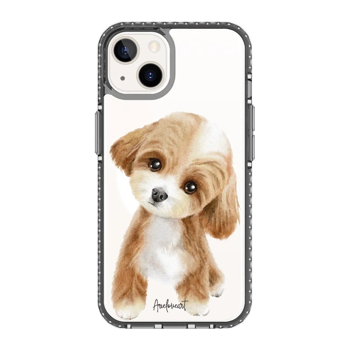 6040-iphone-13-golden-case-magsafe-compatible-transparent-black