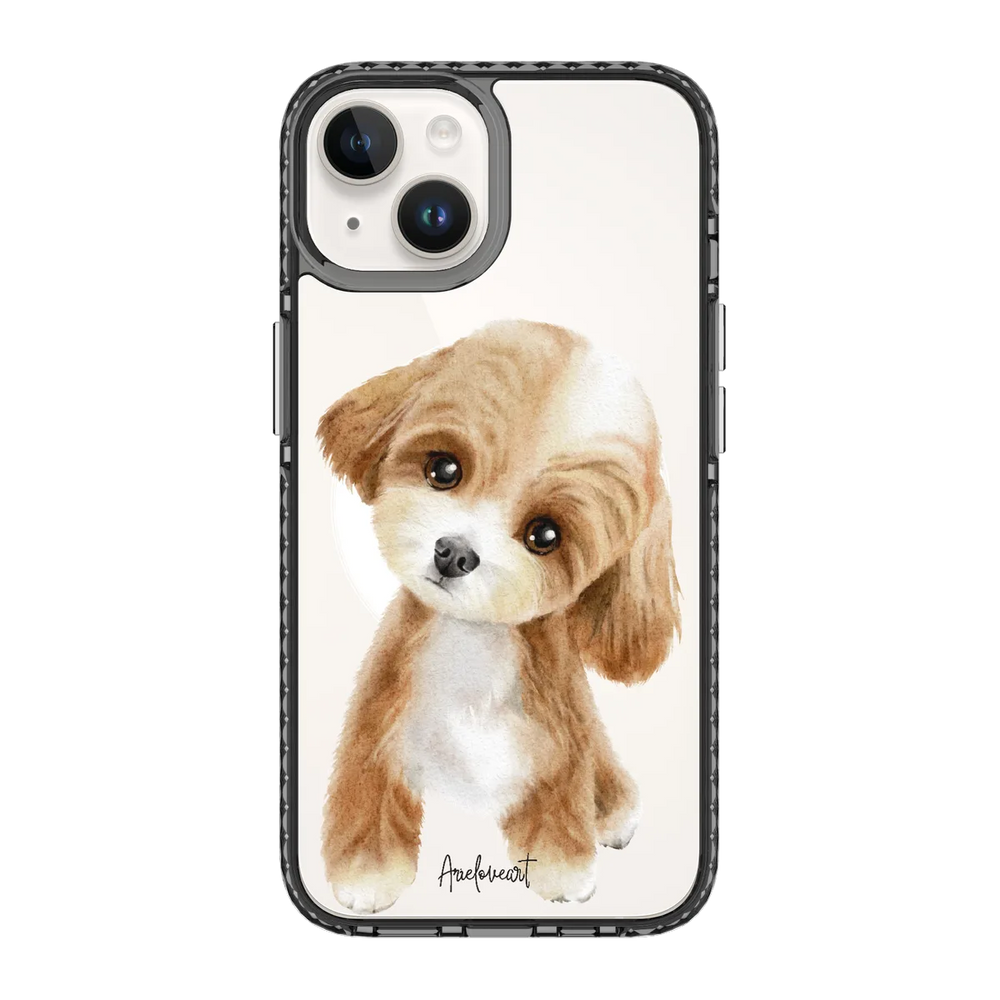 6040-iphone-14-golden-case-magsafe-compatible-transparent-black