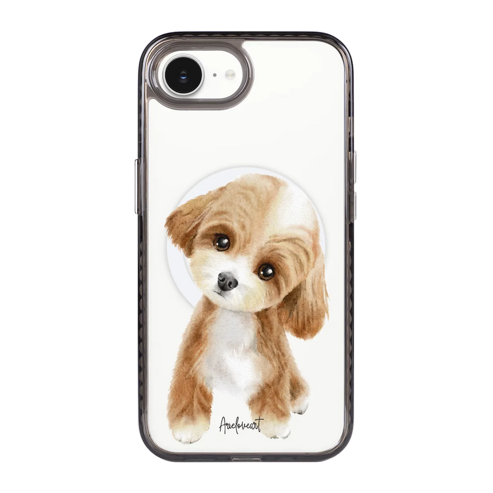 6040-iphone-16-e-golden-case-magsafe-compatible-transparent-black