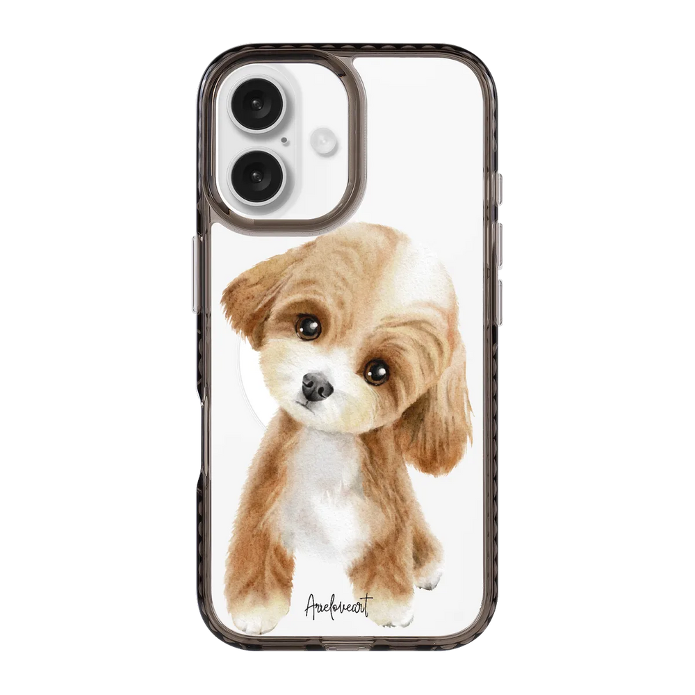 6040-iphone-16-golden-case-magsafe-compatible-transparent-black