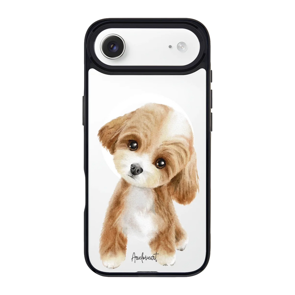 6040-iphone-17-air-goldensnap-case-magsafe-compatible-transparent-black
