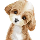 6040 Poodle Caramel