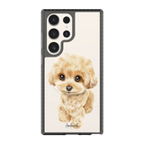 6041-galaxy-s23-ultra-golden-case-magsafe-compatible-transparent-black