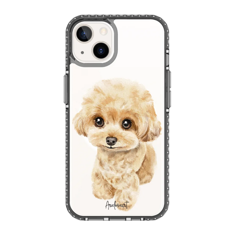 6041-iphone-13-golden-case-magsafe-compatible-transparent-black