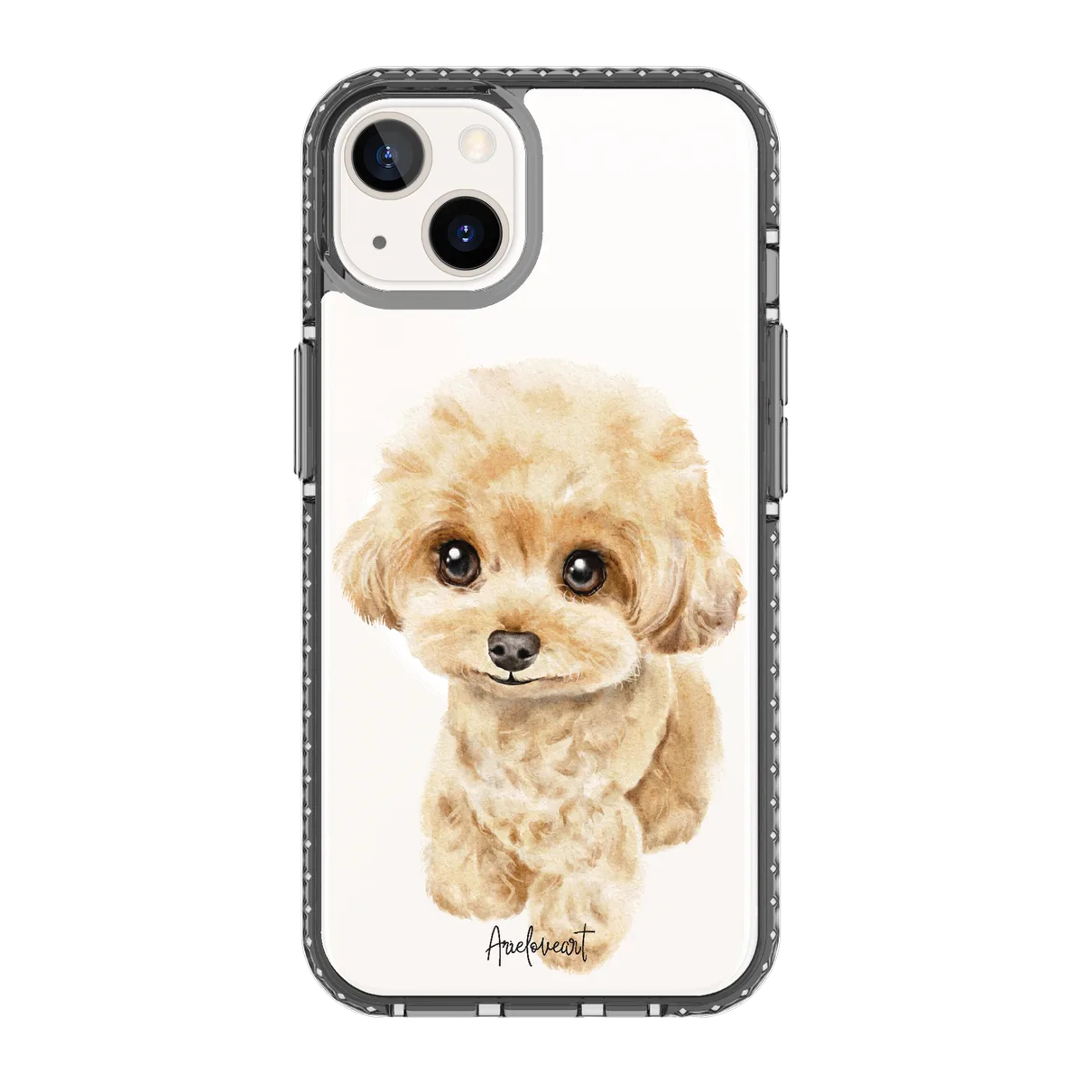6041-iphone-13-golden-case-magsafe-compatible-transparent-black