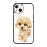 6041-iphone-13-golden-case-magsafe-compatible-transparent-black