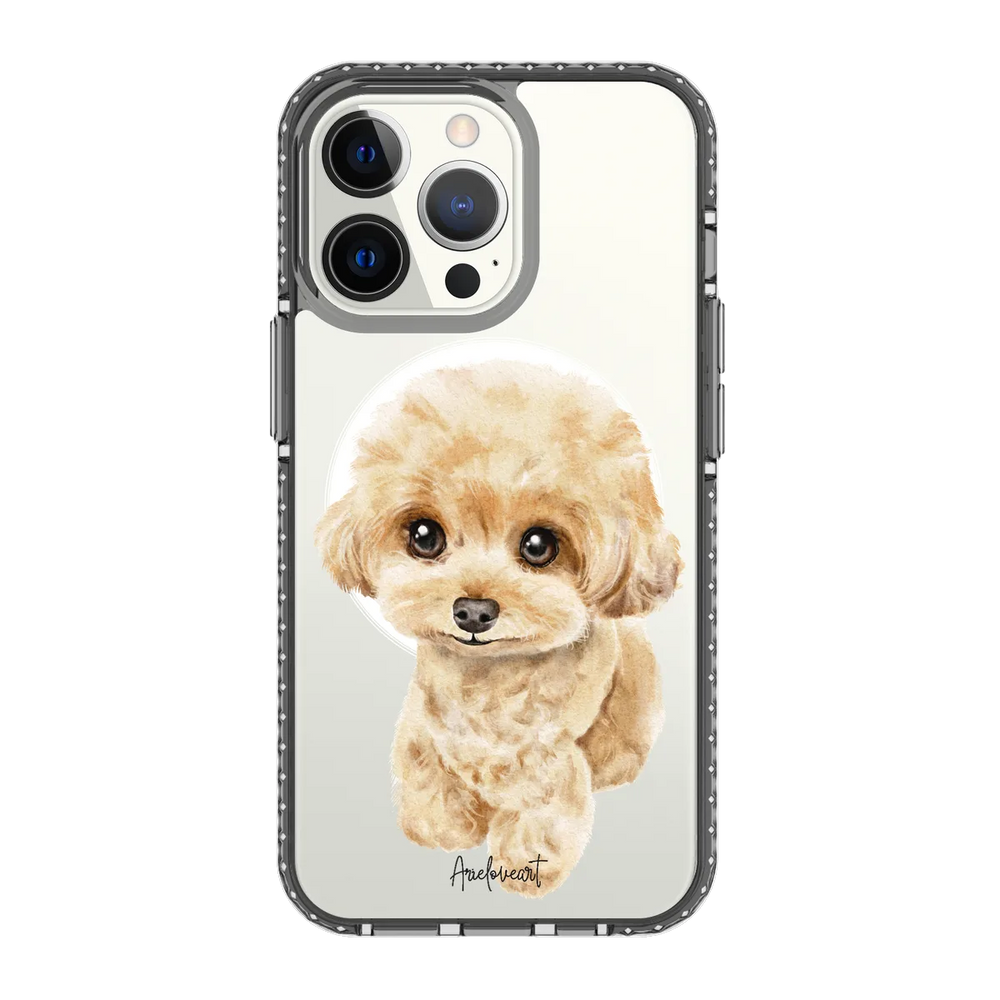 6041-iphone-13-pro-golden-case-magsafe-compatible-transparent-black