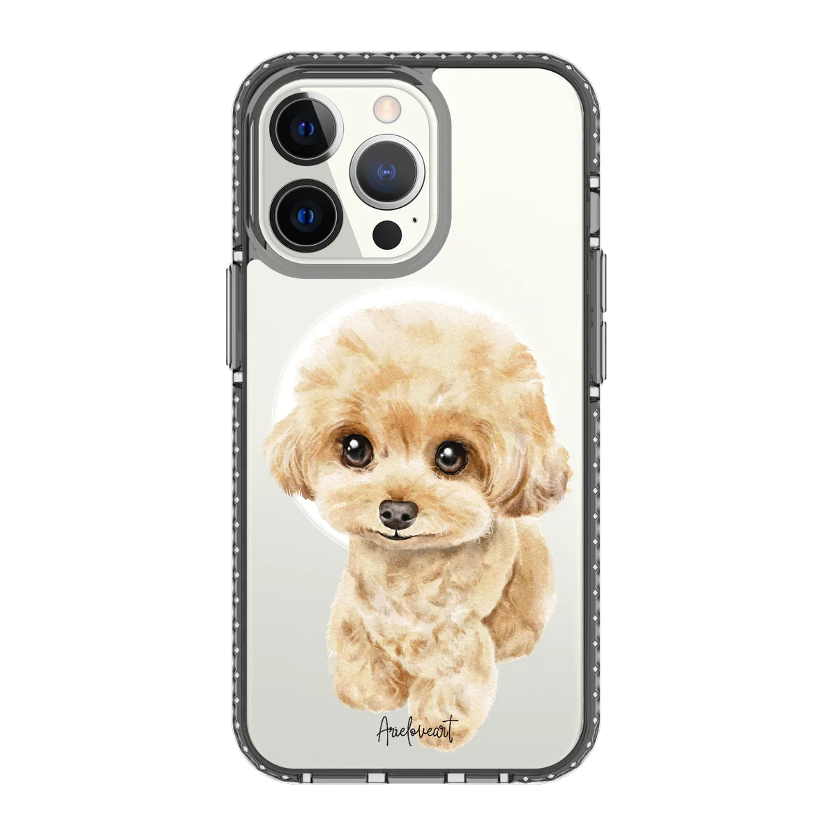 6041-iphone-13-pro-golden-case-magsafe-compatible-transparent-black