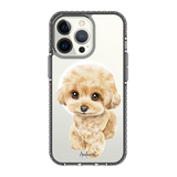 6041-iphone-13-pro-golden-case-magsafe-compatible-transparent-black
