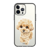 6041-iphone-13-pro-max-golden-case-magsafe-compatible-transparent-black