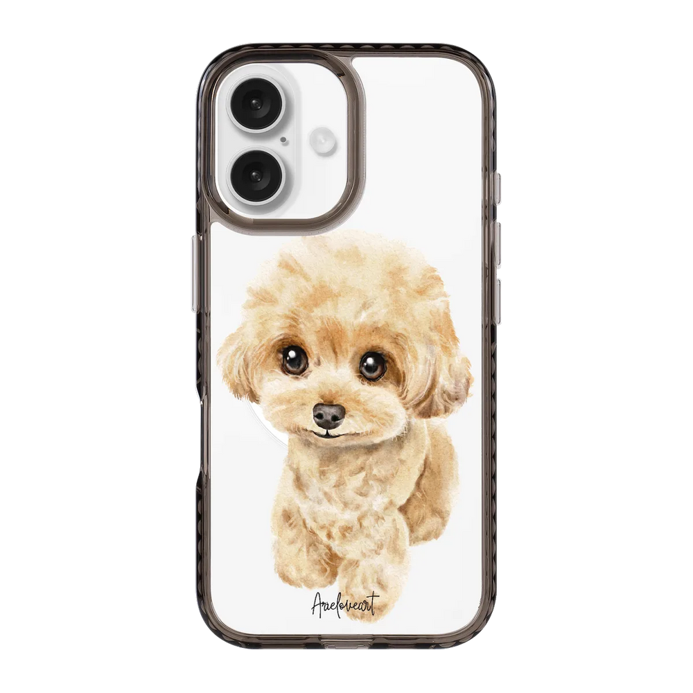 6041-iphone-16-golden-case-magsafe-compatible-transparent-black