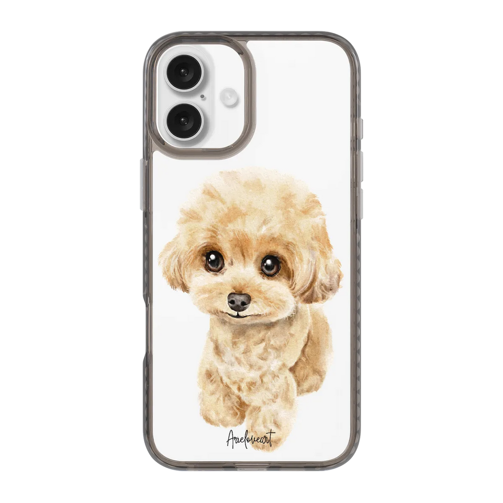 6041-iphone-16-plus-golden-case-magsafe-compatible-transparent-black