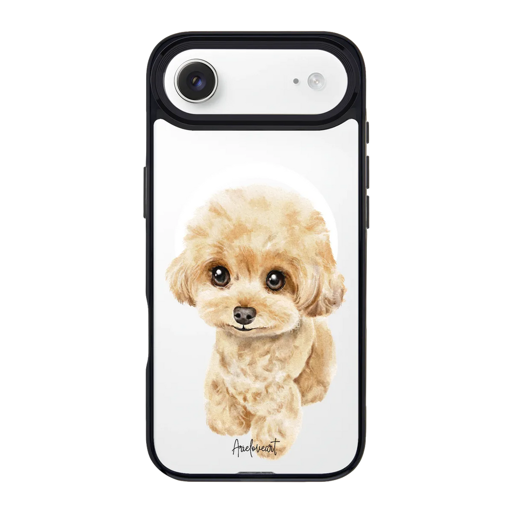 6041-iphone-17-air-goldensnap-case-magsafe-compatible-transparent-black