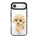 6041-iphone-17-air-goldensnap-case-magsafe-compatible-transparent-black