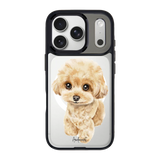 6041-iphone-18-pro-goldensnap-case-magsafe-compatible-transparent-black