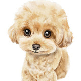 6041 Poodle Light Brown