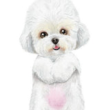 6043 Poodle White